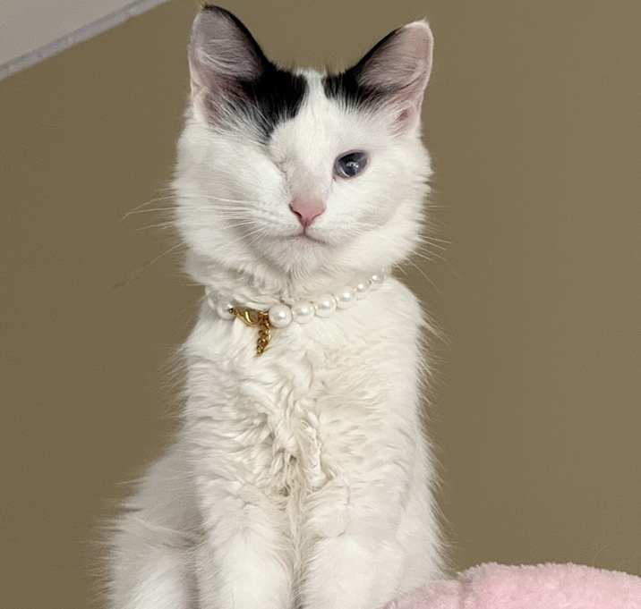 Photo of Jinx