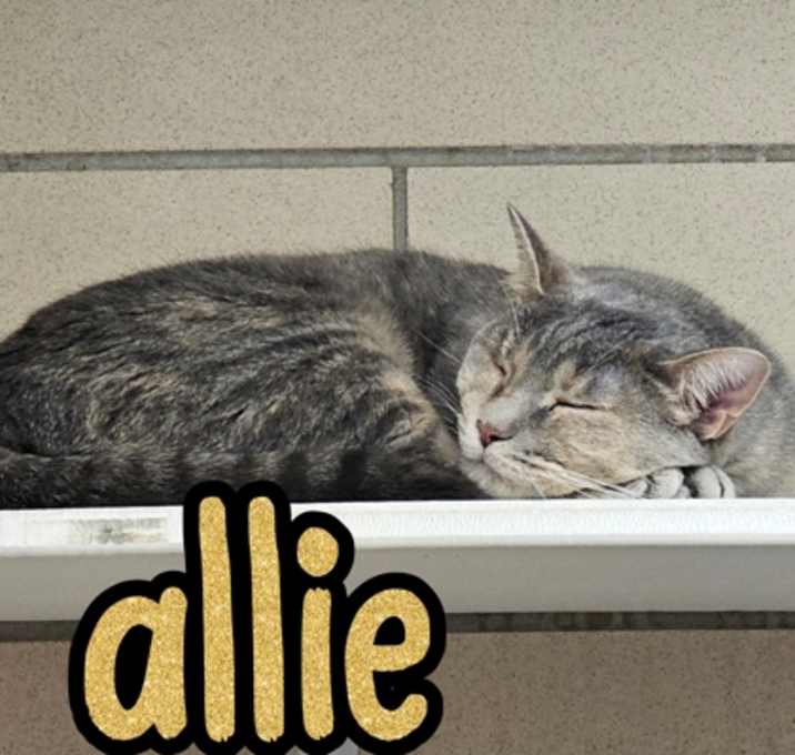 Photo of Allie