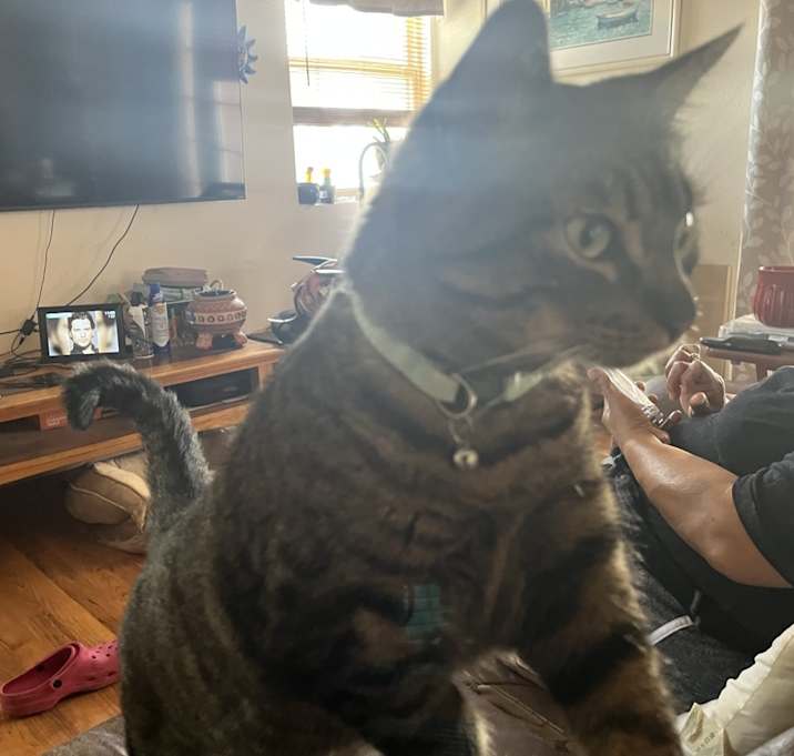 Photo of Fiona