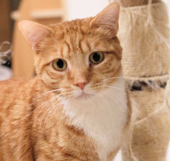 Photo of Larry