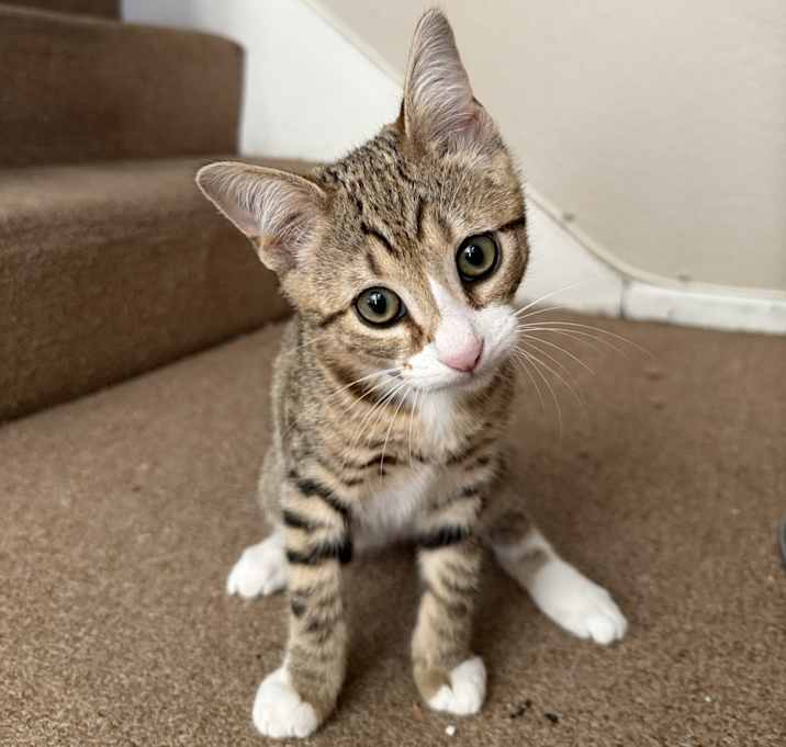 Photo of Simon
