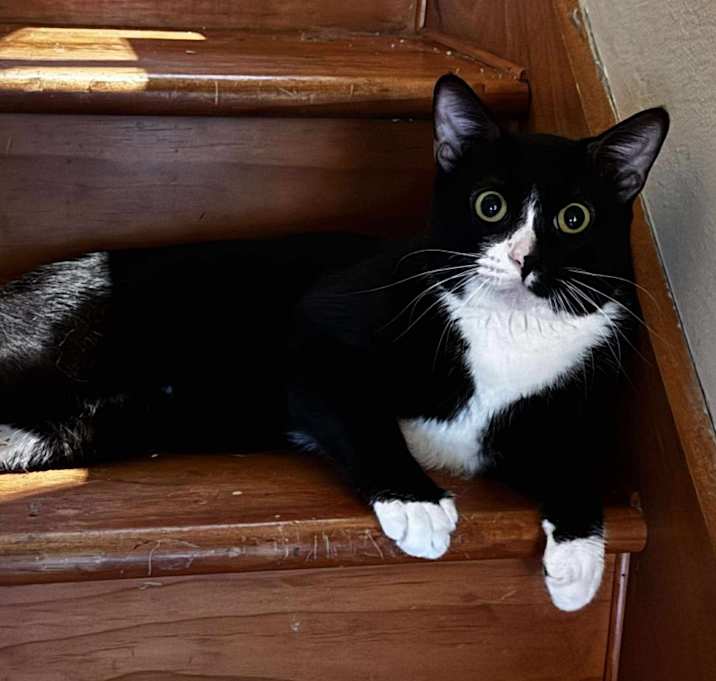 Photo of Hammie