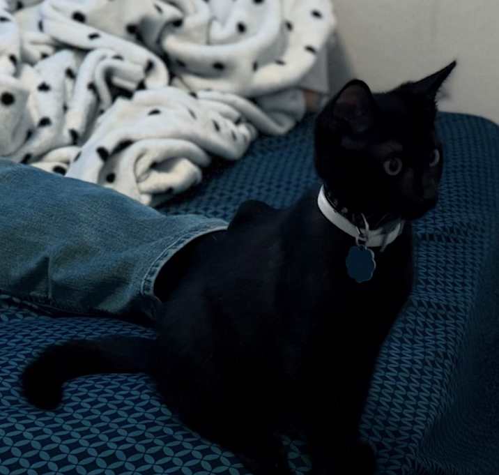 Photo of Nox