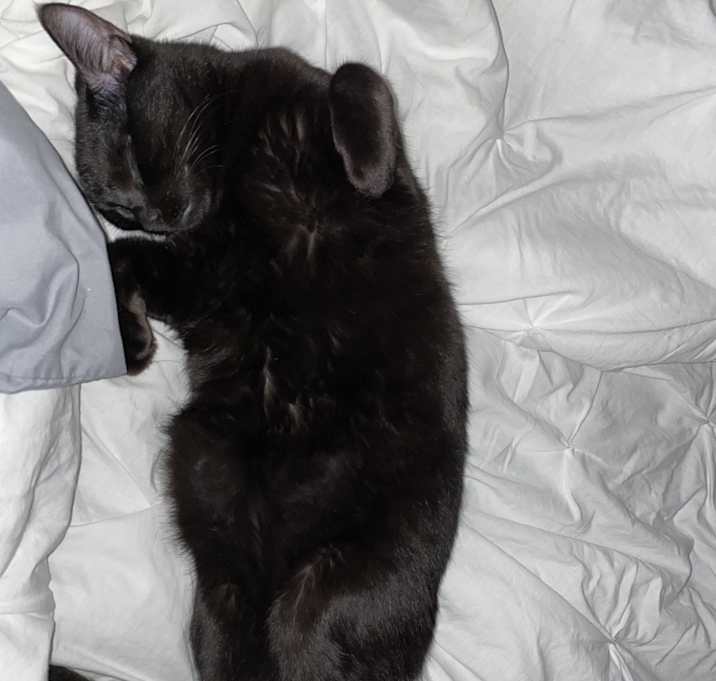 Photo of Luka