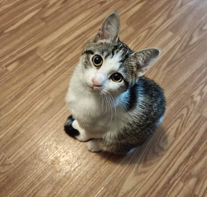 Photo of Katie
