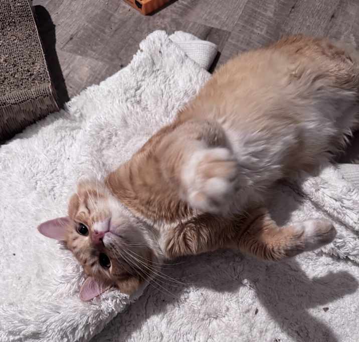 Photo of Sam