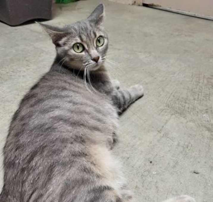 Photo of Tortilla