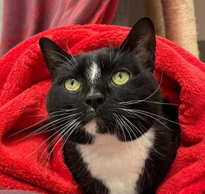Photo of Lucy