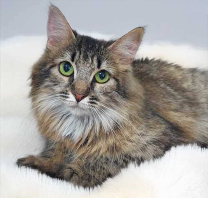 Photo of Sera