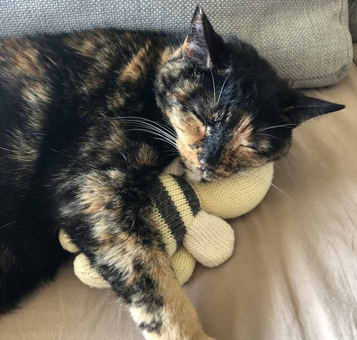 Photo of Lily