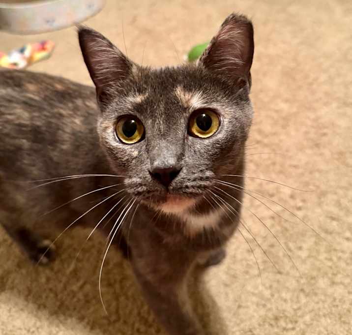 Photo of Jasmine