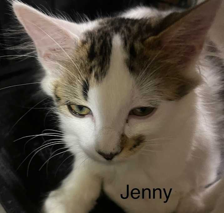Photo of Jenny BD