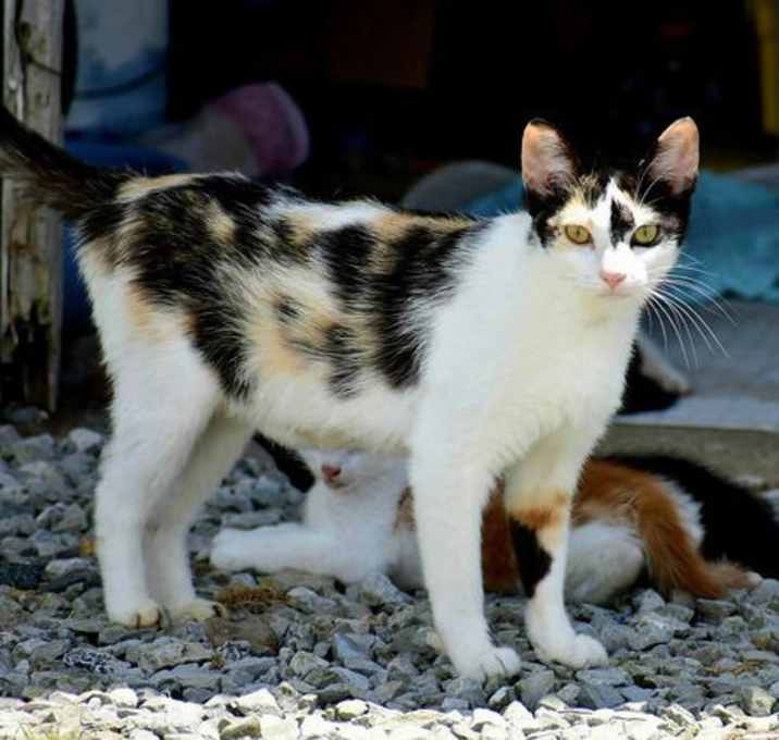 Photo of NEYTIRI