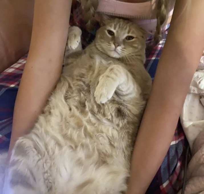 Photo of Chester