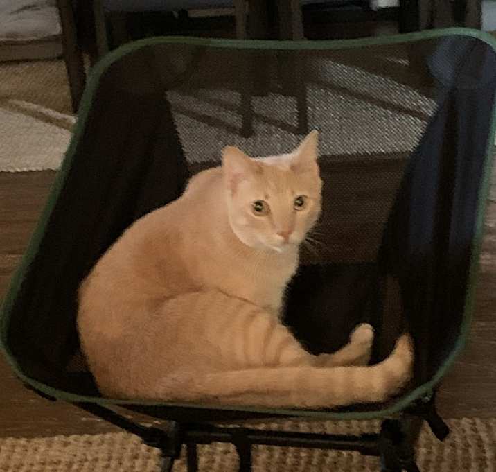 Photo of Aldo