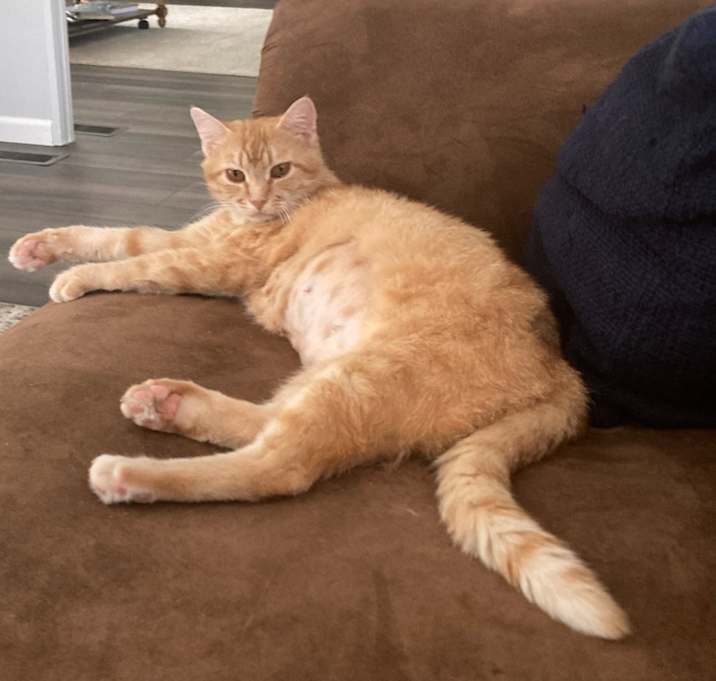 Photo of Molly