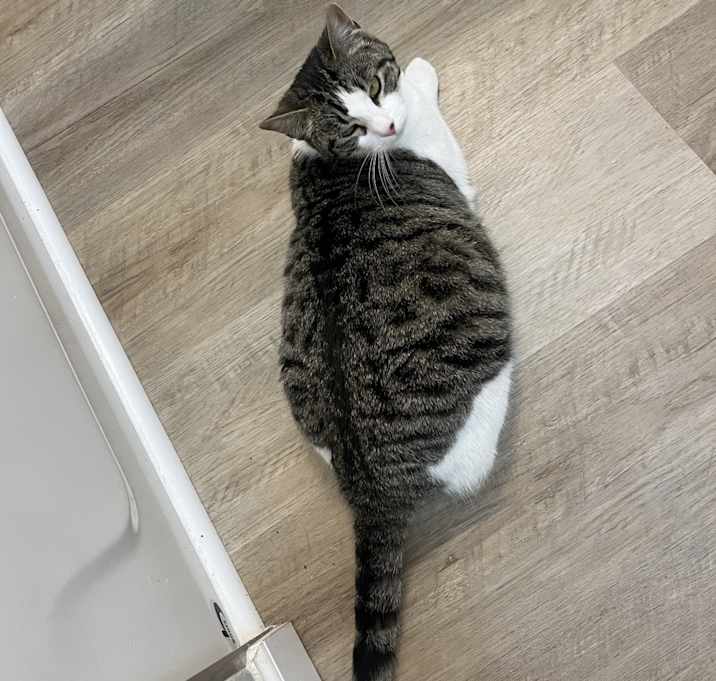 Photo of chili