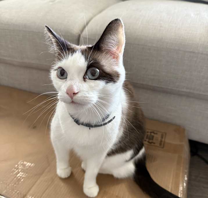 Photo of Mila