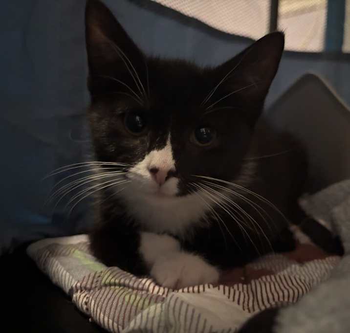 Photo of Betty