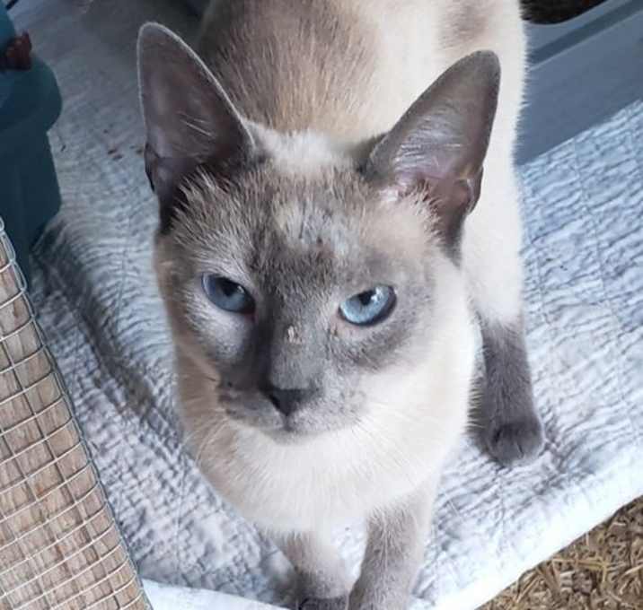 Photo of Bunny