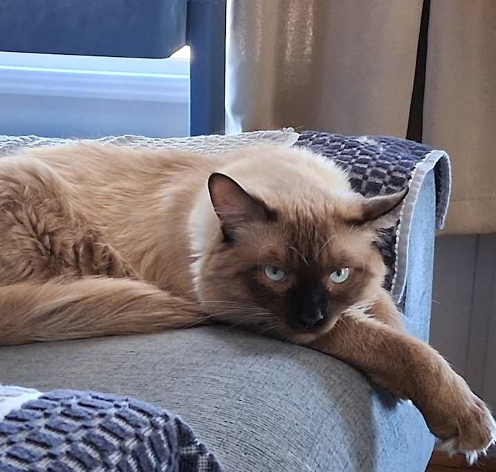 Photo of Oliver