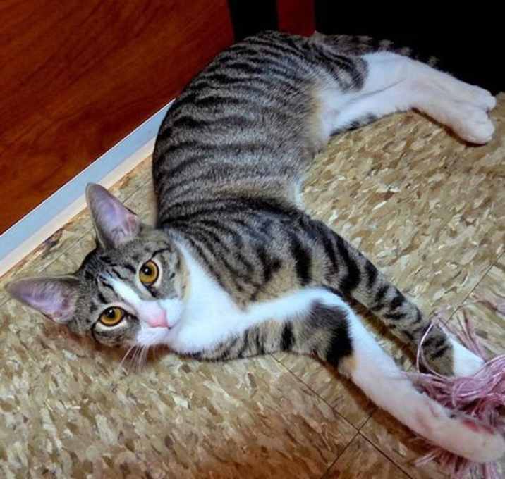 Photo of Olynn