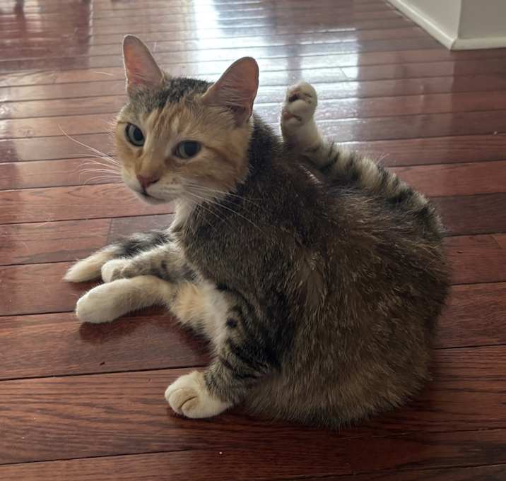 Photo of Mommy