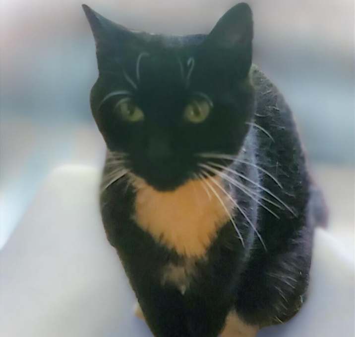 Photo of PJ