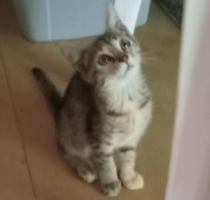 Photo of Sassy Pants