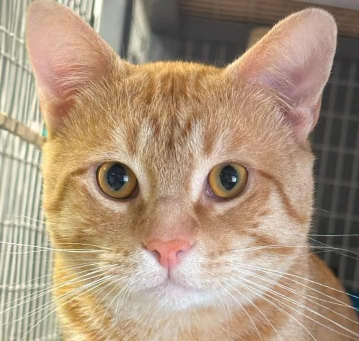 Photo of Frey