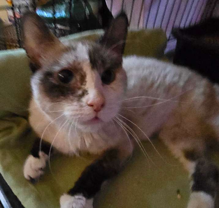 Photo of LEESA