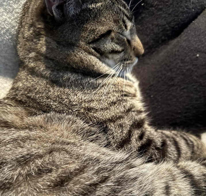 Photo of CeCe