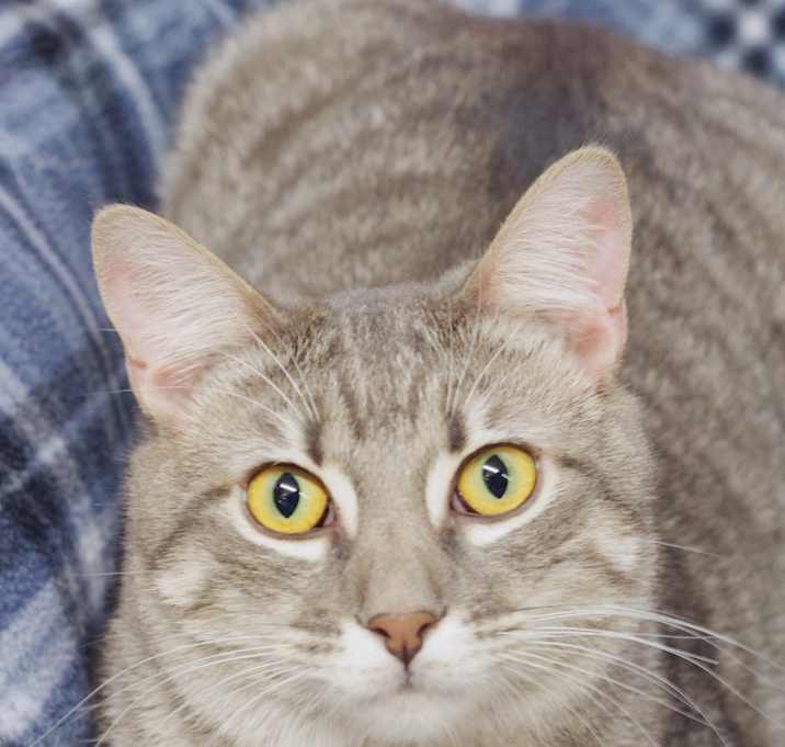 Photo of Elijah