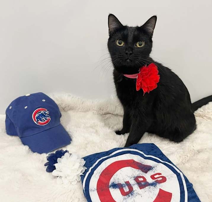Photo of Cubbie Bear