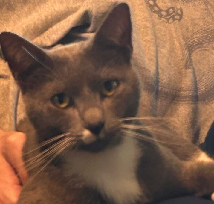 Photo of Taz