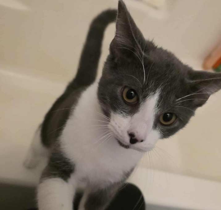 Photo of Miney