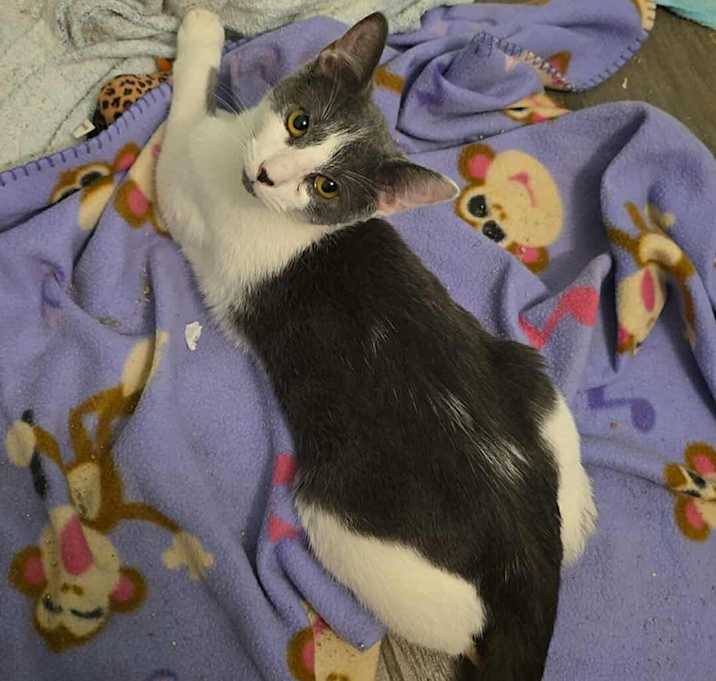 Photo of Moe