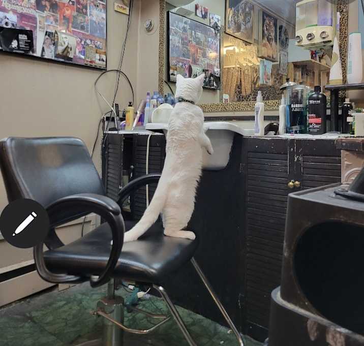 Photo of George aka YoYo