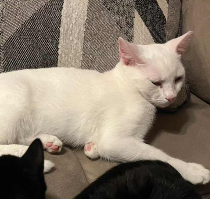 Photo of Cloud