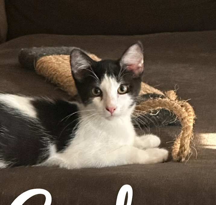 Photo of Carl