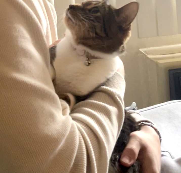 Photo of Rosie