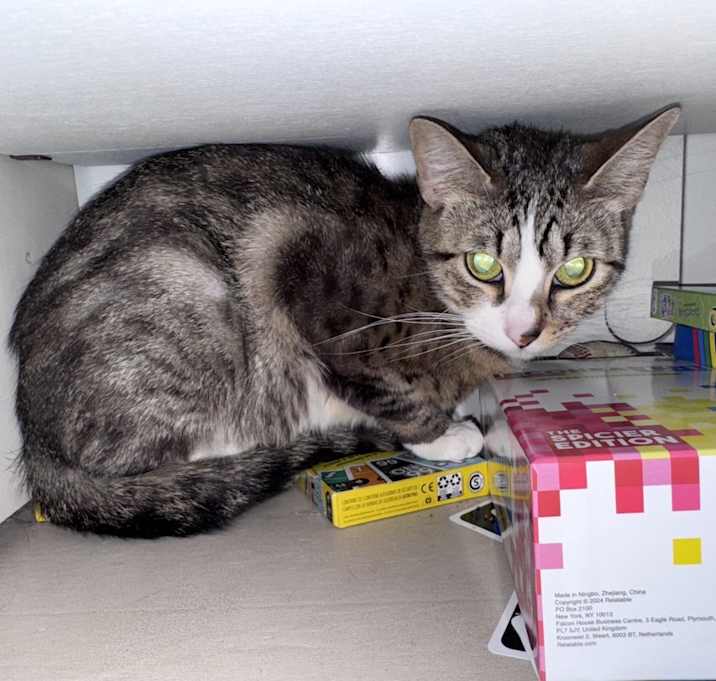 Photo of Lily