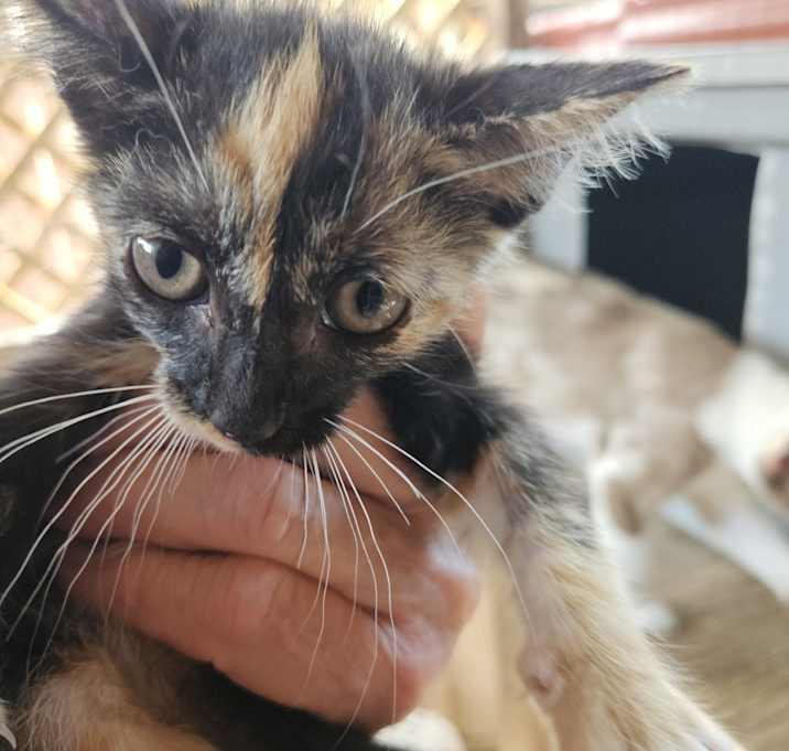 Photo of Unnamed
