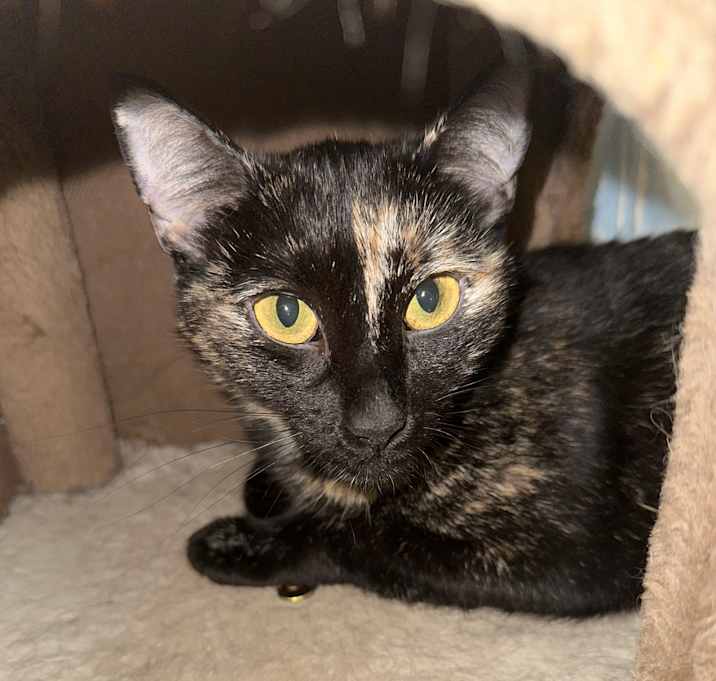 Photo of patches