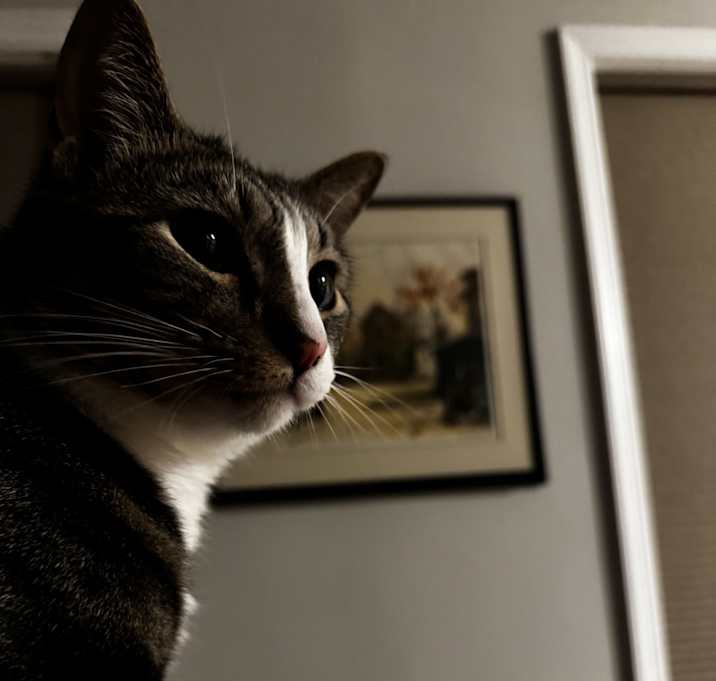 Photo of JB