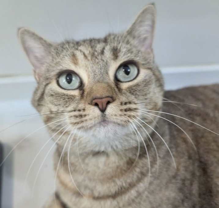 Photo of Miss Bennett