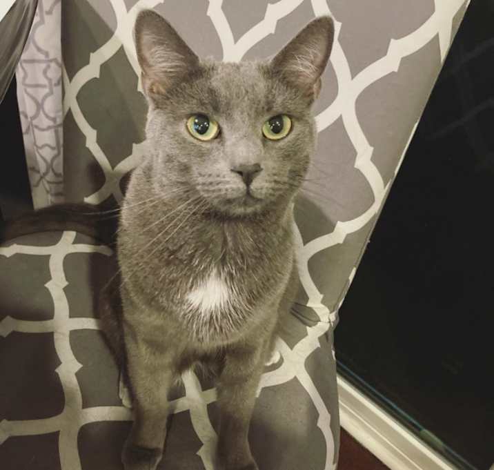 Photo of Bellatrix