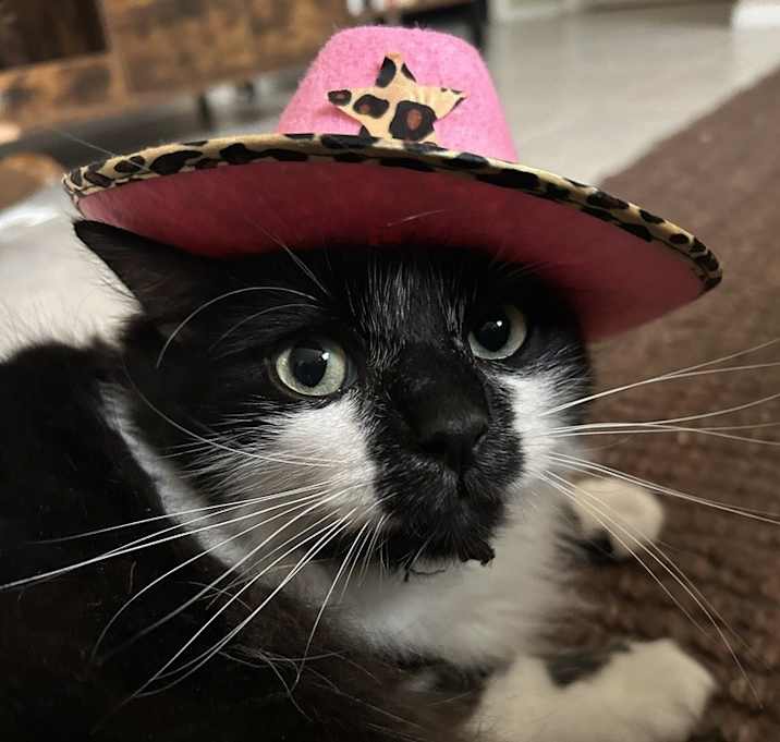Photo of Ivan (FKA Willie)