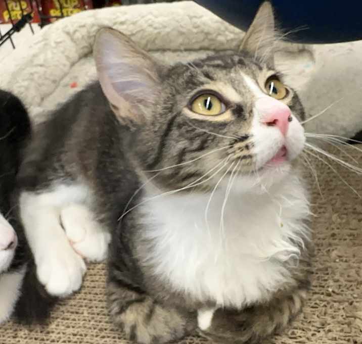 Photo of Jasper