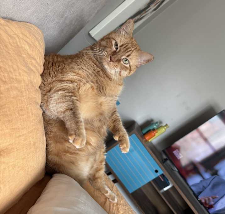 Photo of Charly